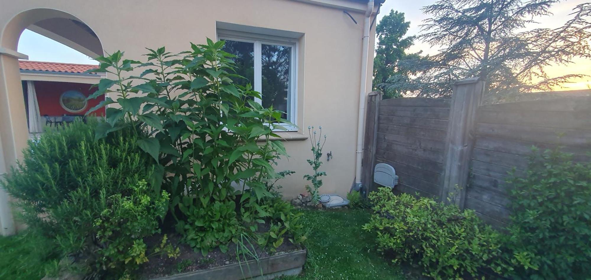 Gite Calme #2 Ou 3 Pers #Piscine #Cholet #Wifi Haut Debit #Travailleurs Thales Lacroix Et Autres Entreprises #Petits Dejeuners Et Repas Possibles Sur Demande Le May-sur-Evre 외부 사진